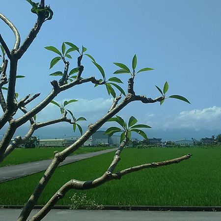 Countryside B&B Zhuangwei Esterno foto