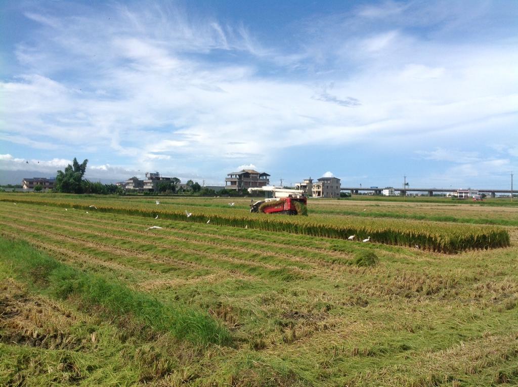 Countryside B&B Zhuangwei Esterno foto